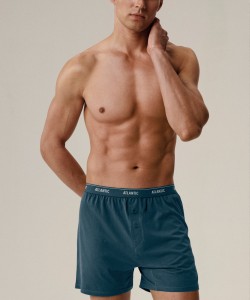 Мужские трусы Atlantic 2RMX-001 - серый меланж/морской