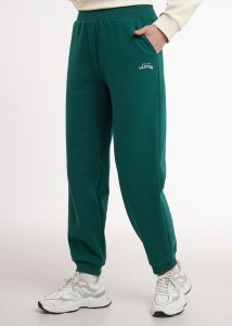 Брюки Clever LTR26-100 - т. зеленый