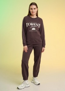 Брюки Clever LTR26-100/2 - коричневый