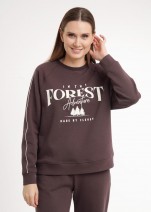 Джемпер Clever LSW26-100/1 - коричневый