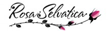Rosa Selvatica